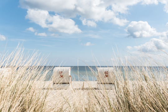 Zwei Strandk&ouml;rbe von hinten am Sandstrand, dahinter das Meer, im Vordergrund leichtes D&uuml;nengras